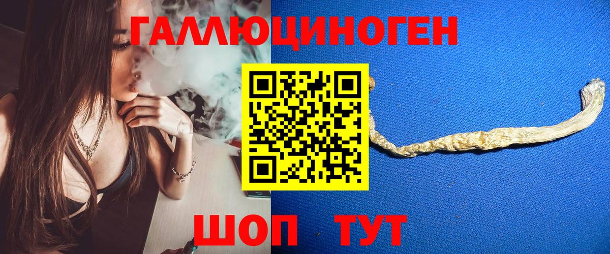 Касимов  Псилоцибиновые грибы Psilocybe  Вход с VPN  Псилоцибиновые грибы ЛСД 